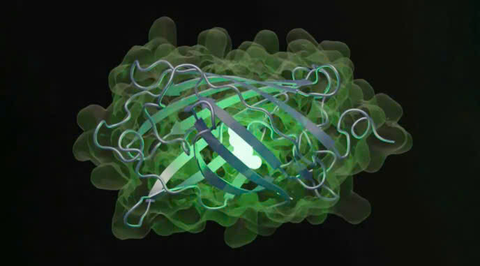 Theo EvolutionaryScale, công nghệ này có thể hữu ích trong các lĩnh vực từ khám phá thuốc đến thiết kế các hóa chất mới để phân hủy nhựa. (Ảnh: EvolutionaryScale)