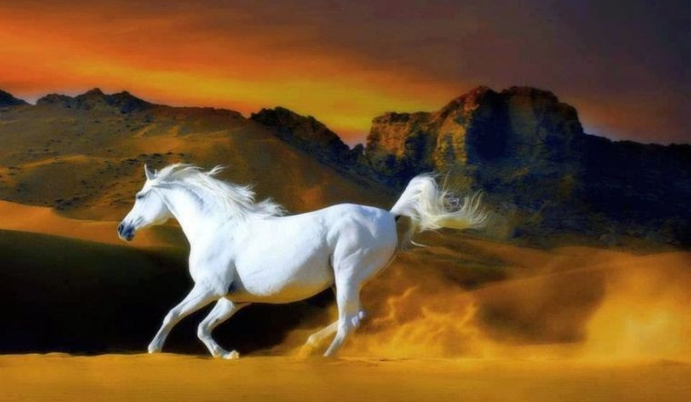 Tất nhiên trong tuần tuổi Ngọ này sẽ tạo được điểm nhấn cho mình bởi những thành quả có được sau bao công sức bỏ ra. Bản mệnh có sự sáng tạo mà không phải ai cũng có được. Không có thành công nào là dễ dàng cả, hãy cố gắng phát huy thế mạnh của mình nhiều hơn.