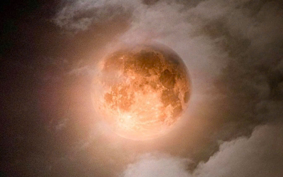 Trên Trái đất, khí phosphine được tạo ra bởi các vi khuẩn trong môi trường thiếu oxy, chẳng hạn như ruột lửng và phân chim cánh cụt. Các nguồn khác, chẳng hạn như hoạt động của núi lửa, có xu hướng kém hiệu quả đến mức trên các hành tinh đá, khí được coi là dấu hiệu của sự sống. (Ảnh: Coedo)