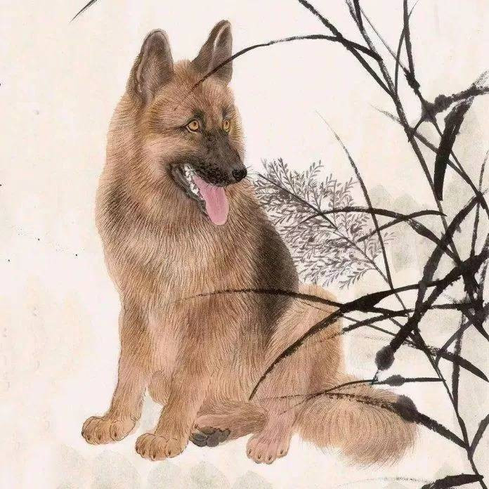 May mắn đến liên tục và đương nhiên tiền bạc không thiếu sẽ giúp hậu vận của con giáp này ngày một thênh thang, cơ hội kiếm tiền ngày càng nhiều lên. Trong cuộc sống, tuổi Tuất cũng là người giỏi giao tiếp, dễ dàng gặp được nhiều quý nhân.