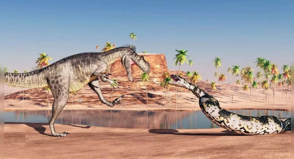 1. Vasuki indicus: Vasuki sống cách đây khoảng 47 triệu năm. Loài rắn khổng lồ này thuộc họ rắn đã tuyệt chủng có tên Madtsoiidae xuất hiện vào cuối kỷ Phấn trắng (100,5 triệu đến 66 triệu năm trước), ở châu Phi, Ấn Độ, Úc, Nam Mỹ và Nam Âu.