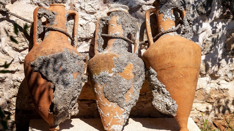 Tuy nhiên, ông chưa bao giờ có thể khám phá hết địa điểm này vì chính phủ Brazil đã cấm ông nhập cảnh vào đất nước này vì cáo buộc cướp bóc và dừng hoàn toàn hoạt động thám hiểm dưới nước.Cho đến ngày nay, sự hiện diện của người La Mã trên bờ biển Brazil vẫn chưa được chứng minh.Ảnh:Grunge