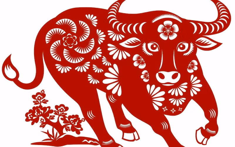 Con giáp tuổi Sửu nếu như đang làm kinh doanh cũng tìm được nguồn hàng tốt, gặp được đối tác làm ăn uy tín. Trong thời gian tới người tuổi Sửu gặp được quý nhân của mình tạo nên những thành tựu rực rỡ trong tương lai. (*Thông tin trong bài chỉ mang tính chiêm nghiệm, tham khảo).