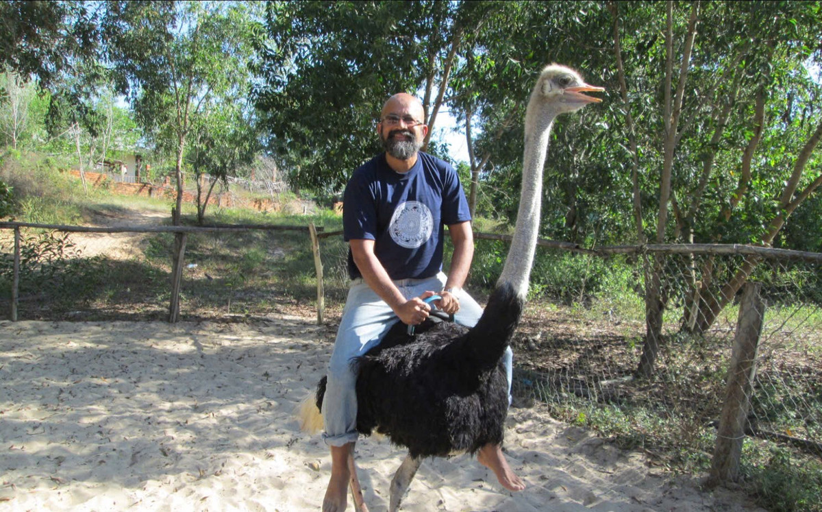 Đà điểu (Struthio Camelus): Loài chim lớn nhất hành tinh. Các cá thể lớn nhất, thường là con đực trưởng thành, có thể nặng tới 145 kg và cao 2,7 mét. (Ảnh: Wikipedia).