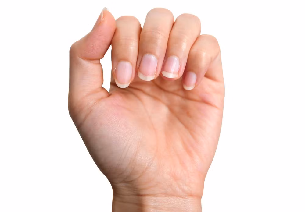 Móng tay mọc với tốc độ khoảng 0,1 mm mỗi ngày khi chúng ta còn sống. Điều này xảy ra ở gốc móng tay.