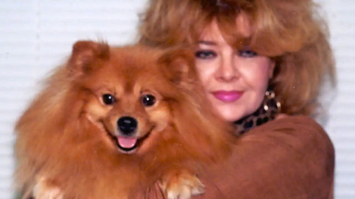 Một ví dụ quen thuộc về hiệu ứng tiếp xúc thường xuyên xảy ra với âm nhạc: Một bài hát mà bạn không thích lắm trong lần đầu tiên nghe nó sẽ trở nên hấp dẫn không thể cưỡng lại sau khi nó được phát trên radio suốt mùa hè. Mọi người liên tục nhìn thấy khuôn mặt của chính họ, do đó việc tiếp xúc nhiều lần khiến họ thích những khuôn mặt giống khuôn mặt của họ, kể cả ở chó. (Ảnh: SBS)