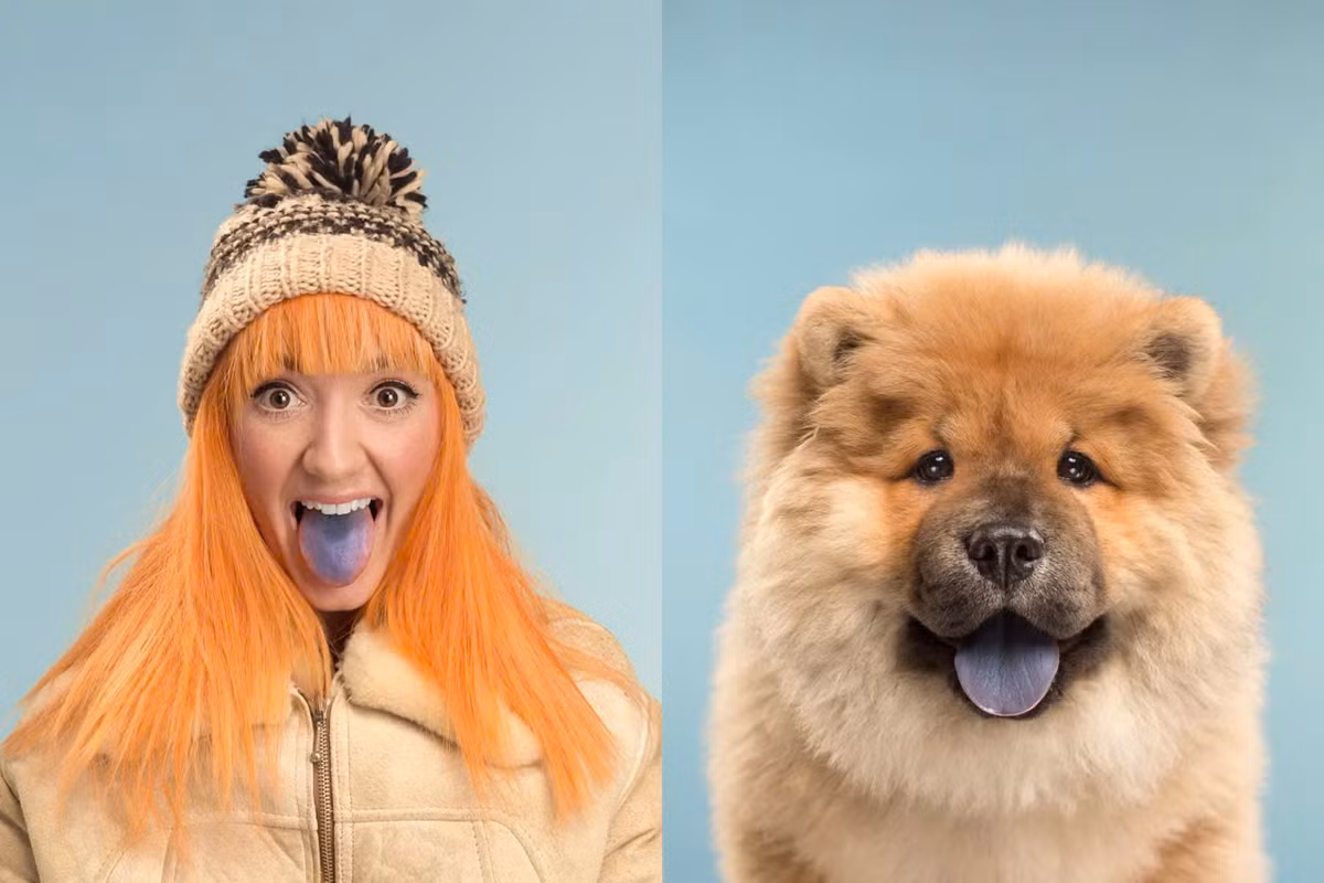 Một giả thuyết cho rằng mọi người có xu hướng tìm kiếm những người, bao gồm cả bạn tình, có ngoại hình giống họ, Holland nói. Các nhà nghiên cứu cho rằng điều tương tự cũng xảy ra khi mọi người chọn thú cưng của mình. (Ảnh: Metro)