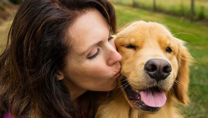 Ghé thăm công viên dành cho chó, bạn chắc chắn sẽ nhìn thấy những cặp chó và chủ giống nhau. Nhưng chó có thực sự trông giống chủ của chúng không? Và nếu vậy, nguyên nhân nào dẫn đến sự giống nhau này? (Ảnh: YBOX)