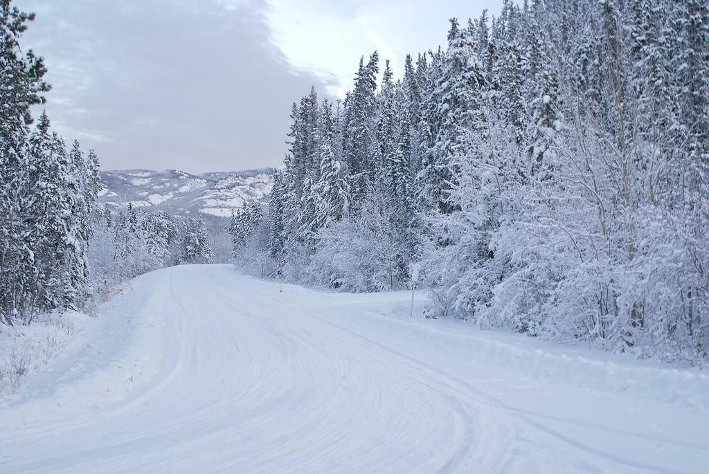 10. Snag, Yukon, Canada: -62,7°C. Nằm trong một thung lũng hình bát giác ở Yukon, Canada, Snag là một ngôi làng hiện đã bị bỏ hoang, nơi ghi nhận nhiệt độ thấp kỷ lục trong một mùa đông bất thường vào những năm 1940. Ảnh:3-port.si