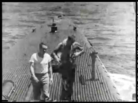 Sau khi được lôi lên boong tàu, George H.W. Bush có thể tự đi lại được chứng tỏ sức khoẻ của ông không hề giảm sút sau khi rơi máy bay và lênh đên trên biển bốn tiếng đồng hồ. Nguồn ảnh: BI.