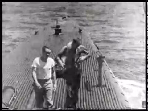 Sau khi được lôi lên boong tàu, George H.W. Bush có thể tự đi lại được chứng tỏ sức khoẻ của ông không hề giảm sút sau khi rơi máy bay và lênh đên trên biển bốn tiếng đồng hồ. Nguồn ảnh: BI.