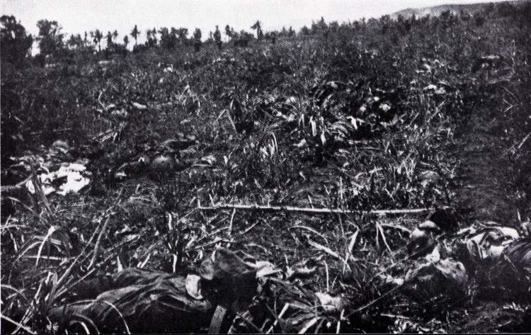 Banzai là thuật ngữ phương Tây dùng để chỉ kiểu tấn công cảm tử bằng biển người được Nhật sử dụng trong Chiến tranh Thế giới thứ hai. Khi người lính Nhật tấn công, họ sẽ hô to câu "Tenno Heika Banzai" - nghĩa là "Thiên hoàng Vạn tuế". Nguồn ảnh: Awesomestories.