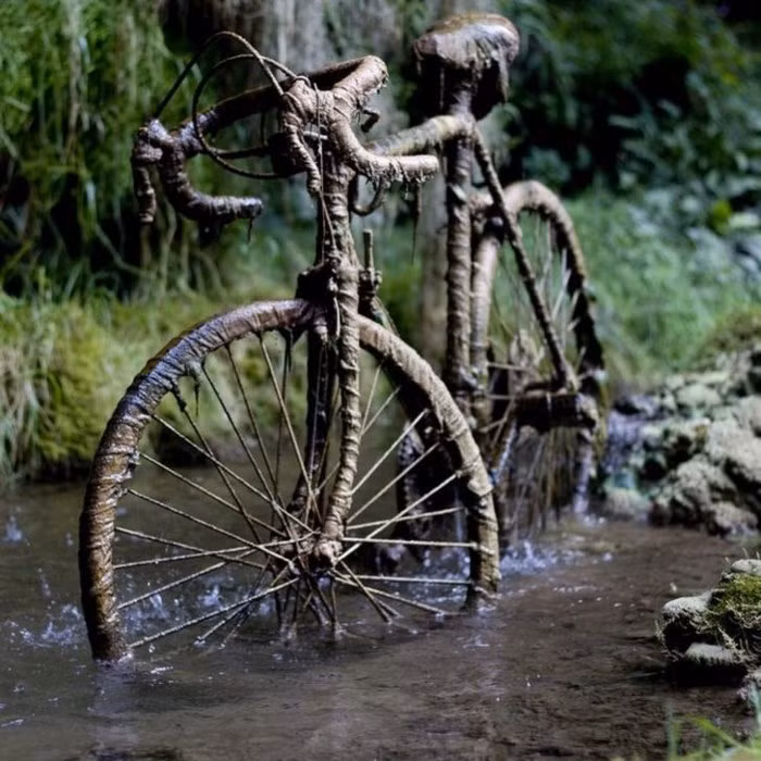 Một chiếc xe đạp bị hóa đá ở Petrifying Well.