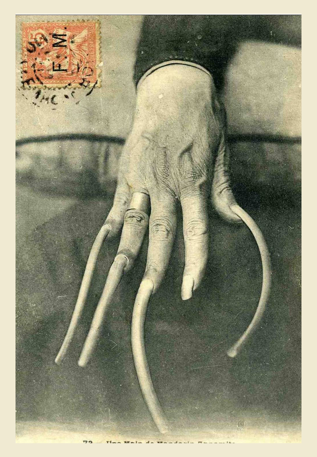 Do đó, việc giữ một bộ móng tay phức tạp như vậy được dành riêng cho các địa chủ phong kiến và học giả Nho giáo, những người không phải làm việc chân tay. Một số thì làm như vậy với tất cả các ngón tay, trong khi số còn lại thì cắt bớt móng ở ngón tay trỏ vì những lí do thực tế.