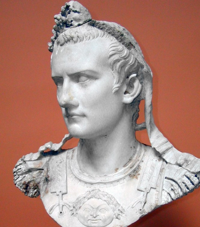 9. Ngựa có thể trở thành chính khách: Incitatus là con ngựa yêu quý của Hoàng đế Caligula. Chuồng bằng đá cẩm thạch, một máng cỏ bằng ngà được tạo ra để dành cho Incitatus. Chú ngựa cũng mặc quần áo tím và bộ yên cương làm từ đá quý. Dio Cassius còn cho biết rằng chú ngựa ăn yến mạch trộn với vàng nhuyễn. Caligula đã sử dụng quyền lực tối cao của mình để bổ nhiệm Incitatus thành quan chấp chính cấp cao. Có lẽ Hoàng đế chỉ muốn bỡn cợt Thượng viện bằng cách cho họ thấy thậm chí một con ngựa có thể làm công việc của thượng nghị sĩ.