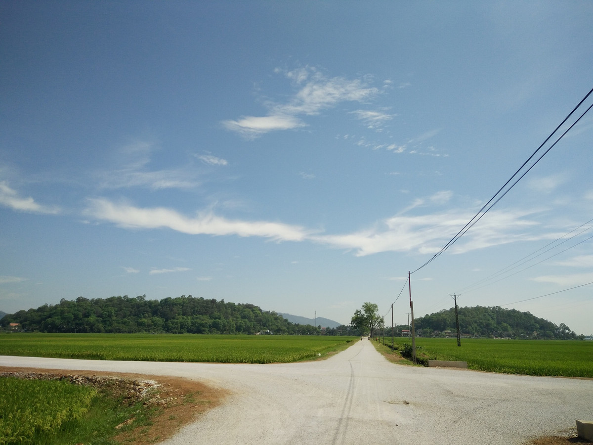 Đền thờ Lê Phụng Hiểu, nay tại làng Xuân Sơn, xã Hoằng Sơn, Hoằng Hóa.