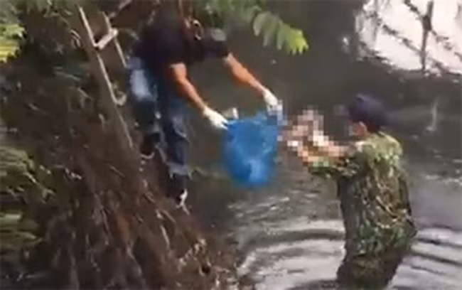  Thi thể trẻ sơ sinh còn nguyên dây rốn bên bờ suối: Sáng 26/2, người dân phát hiện thi thể trẻ sơ sinh còn nguyên dây rốn bị bỏ rơi giữa suối thuộc khu vực cầu Nước Mặn (phường Hà Khánh, TP Hạ Long, Quảng Ninh). Công an TP Hạ Long đã khám nghiệm hiện trường đang điều tra nguyên nhân, truy tìm tung tích nạn nhân.