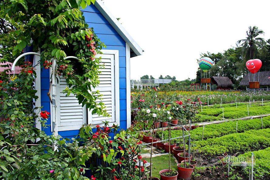 Gan tai hon nhan duoc chiec tui xach hang hieu kem 4 tu, toi khoc xin huy cuoi ngay