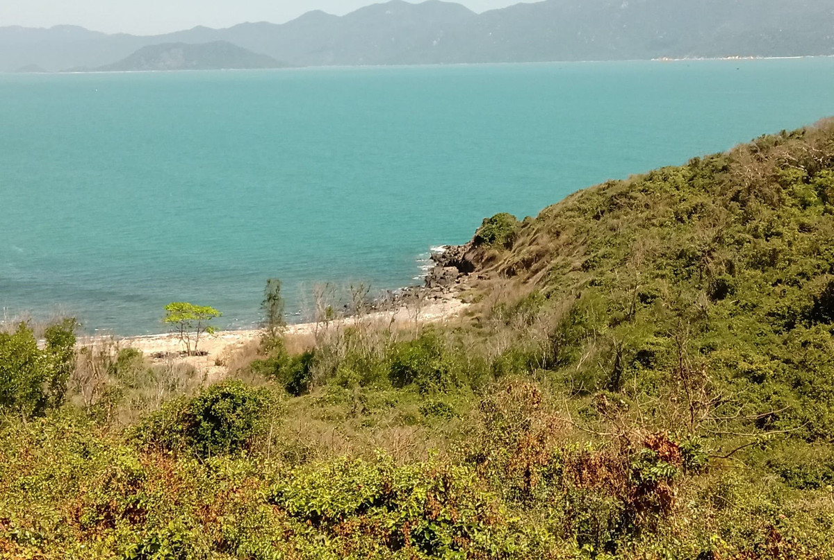  Tìm được thi thể bác sĩ tử vong khi đi câu cá biển: Ngày 24/2, lực lượng chức năng Khánh Hòa cho biết, vừa tìm thấy thi thể anh S. là bác sĩ tại BVĐK Khánh Hòa ở vùng biển Bãi Than, xã Vĩnh Lương, (Nha Trang). Theo nhận định ban đầu có thể nạn nhân đứng ở các tảng đá mép biển để câu rồi bị té ngã xuống nước, sóng đánh ra xa gây tử vong. 