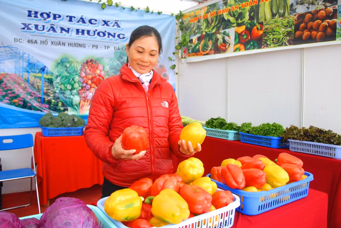 Rau sach Da Lat len ngoi thanh nhung mon qua Tet an toan-Hinh-4