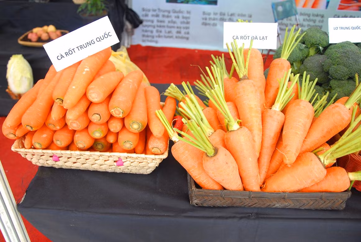 Rau sach Da Lat len ngoi thanh nhung mon qua Tet an toan-Hinh-8