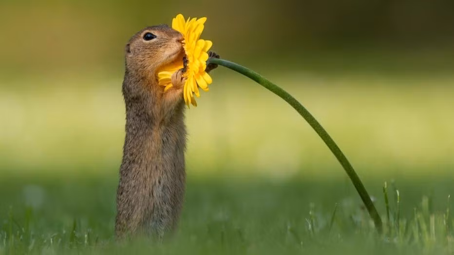 Khoanh khac chu soc con dang tan huong huong vi cua cuoc song