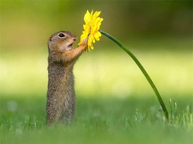 Khoanh khac chu soc con dang tan huong huong vi cua cuoc song-Hinh-5