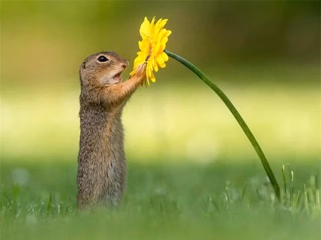 Khoanh khac chu soc con dang tan huong huong vi cua cuoc song-Hinh-5