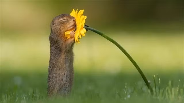 Khoanh khac chu soc con dang tan huong huong vi cua cuoc song-Hinh-3