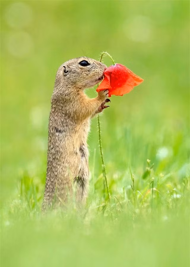 Khoanh khac chu soc con dang tan huong huong vi cua cuoc song-Hinh-6