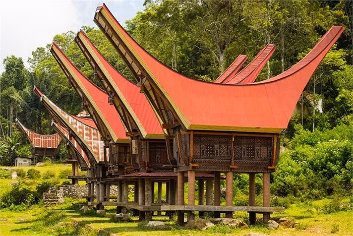 Tana Toraja là một khu vực mục vụ ở Nam Sulawesi, một ngôi làng truyền thống với những căn nhà có mặt tiền được trang trí tỉ mỉ và có mái hình thuyền. Ngoài ra nơi đây còn có những đồng ruộng bậc thang và những vách núi đá cheo leo, hùng vĩ.