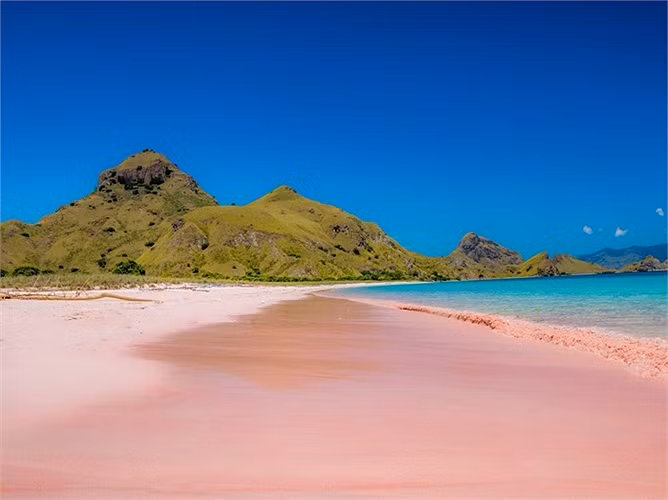 Bãi biển Hồng (Pink Beach) nằm trên đảo Komodo là bãi biển kỳ lạ có cát màu hồng. Điều kỳ lạ này xuất phát từ các loại sinh vật cực nhỏ gọi là Foraminifera đã tạo ra màu đỏ trên các rạn san hô ở đây.