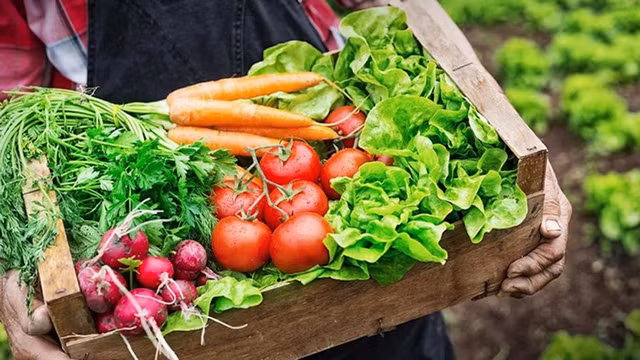 Che do an uong thich hop nhat cho nguoi ung thu gan