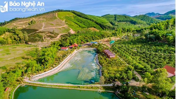 Top diem den hap dan nhat Tet Duong lich o Nghe An-Hinh-2