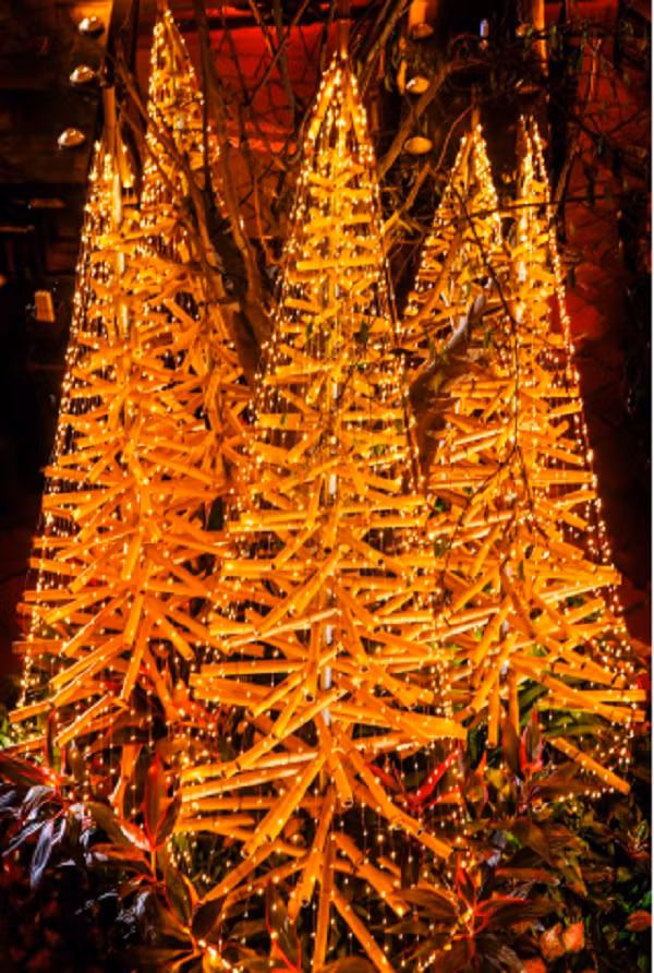 Doc la rung thong Noel bang tre giua long Ha Noi-Hinh-5