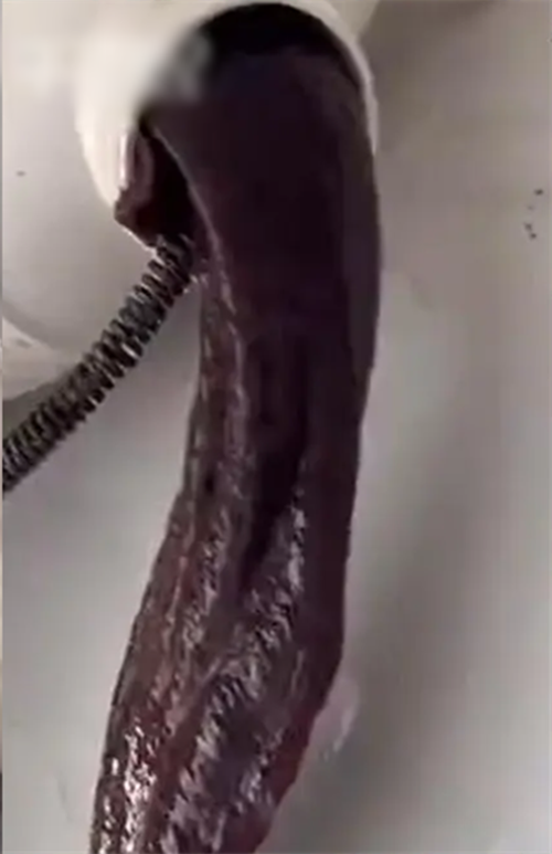 Khi đến ngôi nhà cần được nạo vét cống, anh Văn được chủ nhân ngôi nhà cho biết, nửa đêm gia đình thường nghe thấy âm thanh như tiếng khóc của trẻ con phát ra từ nhà vệ sinh, cống lại bị tắc.