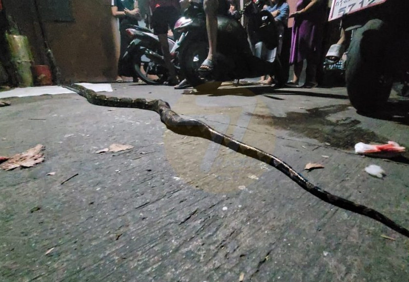 Qua chuyện này, chính quyền địa phương cũng nhắc nhở mọi người, phải nâng cao cảnh giác.