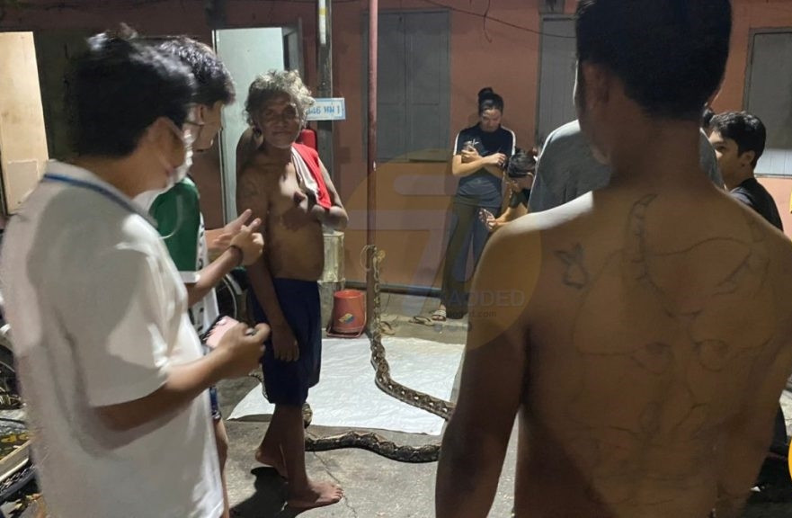 Đặc biệt khi có tiếng động lạ ở các khu vực cống, ống thoát nước thì không được chủ quan, đồng thời hãy đi vệ sinh đúng nơi quy định, tránh bị tấn công bất ngờ.