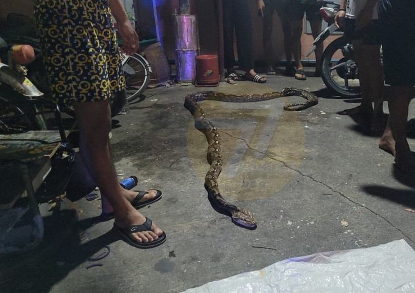 Người đàn ông xui xẻo cũng được đưa đến bệnh viện để kiểm tra vết thương, tránh nhiễm trùng.