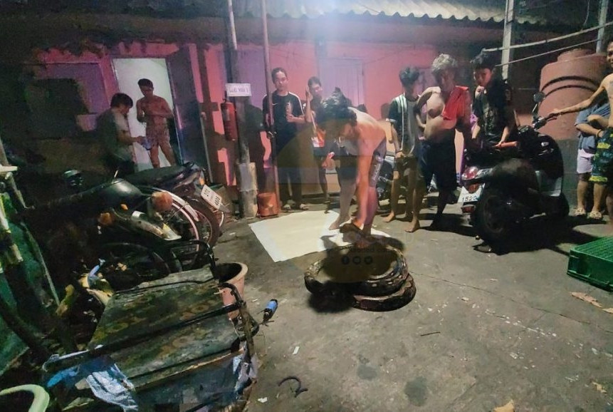 Trong lúc người đàn ông nửa say nửa tỉnh đang tiểu tiện, một con trăn khổng lồ bất ngờ chui ra từ cái hố bên cạnh, há miệng cắn vào bắp chân của anh rồi quấn chặt lấy người.