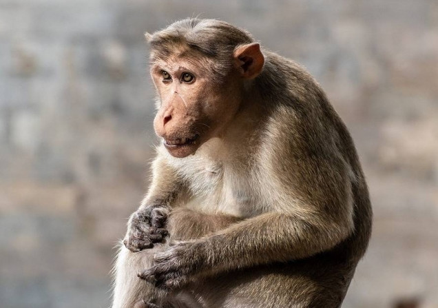 Di ve sinh gap ngay “quai thu”, nguoi dan ong mat mang