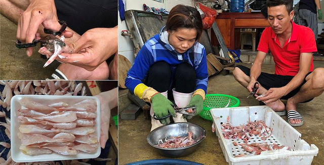 Dac san ca dui ga 1 nang Nghe An lam gia tu ca noc: Su that kinh hoang?-Hinh-3