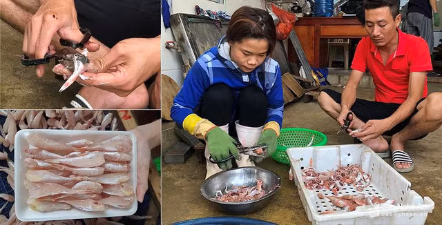 Dac san ca dui ga 1 nang Nghe An lam gia tu ca noc: Su that kinh hoang?-Hinh-3