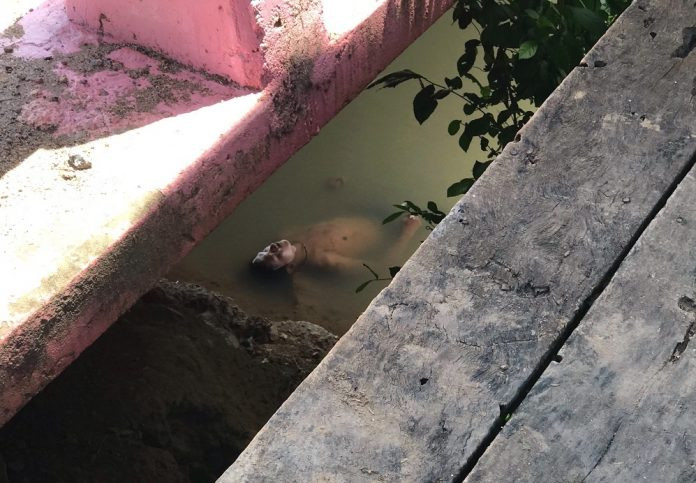 Amnat Fannang nằm với vẻ mặt vô hồn và gối đầu lên một tảng đá trong kênh nước ở tỉnh Chai Nat, Thái Lan. Ảnh: Khaosod