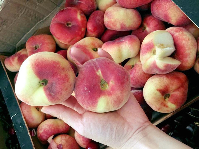 Đào Hàn Quốc đang gây "sốt" chủ yếu là lấy của vùng Gyeonggi - do của Hàn Quốc. Chúng là giống đào ruột trắng, giòn và dày thịt. Tiểu thương cho hay, giá nhập loại quả này từ 150.000 – 200.000 đồng/hộp. Khi về Việt Nam, mức giá tăng lên phần lớn là để bù cho chi phí vận chuyển và bảo quản.