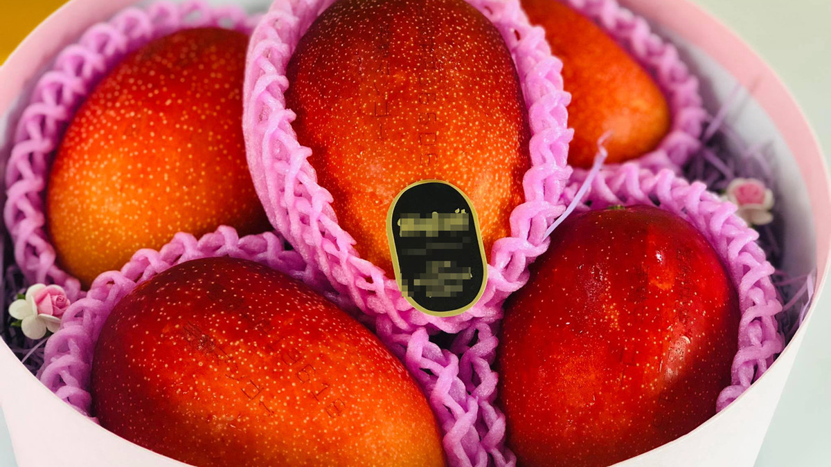 Nhân viên tại cửa hàng hoa quả trên phố Nguyễn Đình Chiểu (Hà Nội) xác nhận, trước lễ Đoan Ngọ 1 ngày, toàn bộ 120 quả xoài đỏ Nhật Bản hoặc Đài Loan có giá từ 950.000 đồng đến 1,2 triệu đồng/quả của cửa hàng đã bán hết. Mặc dù có rất nhiều khách hàng gọi điện đến đặt hàng nhưng nhân viên phải từ chối khách. "Vào dịp lễ nên giá xoài tăng hơn một chút so với ngày thường", nhân viên này cho biết.