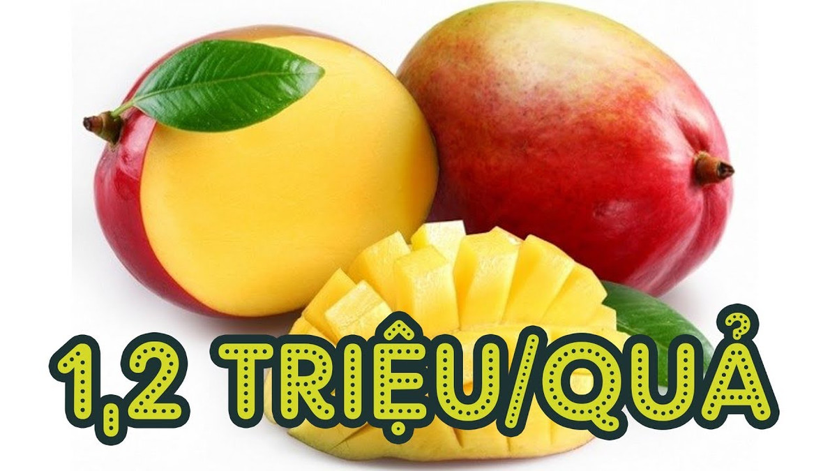 Phải đến điểm gọi thứ 5, Thùy Anh mới mua được 2 quả, với mức giá tăng nhẹ là 100.000 đồng/quả. "Trước giờ, giá xoài khoảng 950.000 đồng/quả, nhưng hôm nay đã tăng lên hơn 1 triệu đồng. Trái không được to và đẹp như mọi lần, nhưng tôi vẫn phải mua cho được việc. Vào dịp lễ tết như giết sâu bọ thế này, bao giờ, hàng cũng khó mua hơn bình thường", Thùy Anh nói.