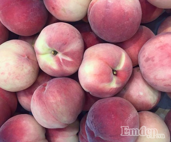 Tuy không "hot" bằng đào Hàn Quốc, song đào dẹt Flatto Gold xuất xứ Mỹ cũng được nhiều khách hàng chú ý dù mức giá của chúng ở mức 500.000 – 600.000 đồng/hộp (khoảng 7-9 quả).