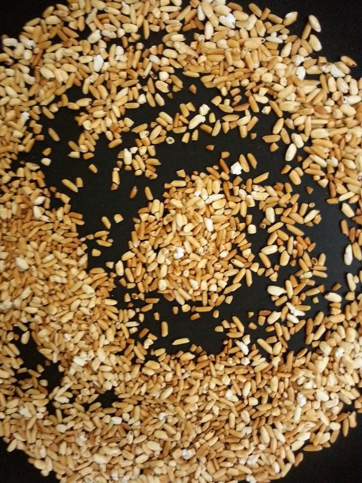 Bước 2: Đổ gạo vảo chảo rang thật vàng, có mùi thơm.