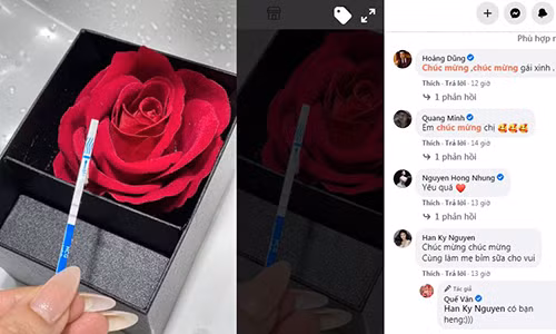 Ho Ngoc Ha sinh doi, ban than mot thoi khoe tin bau bi